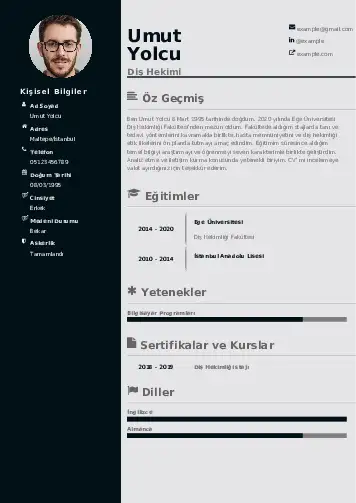 Diş Hekimi cv indir